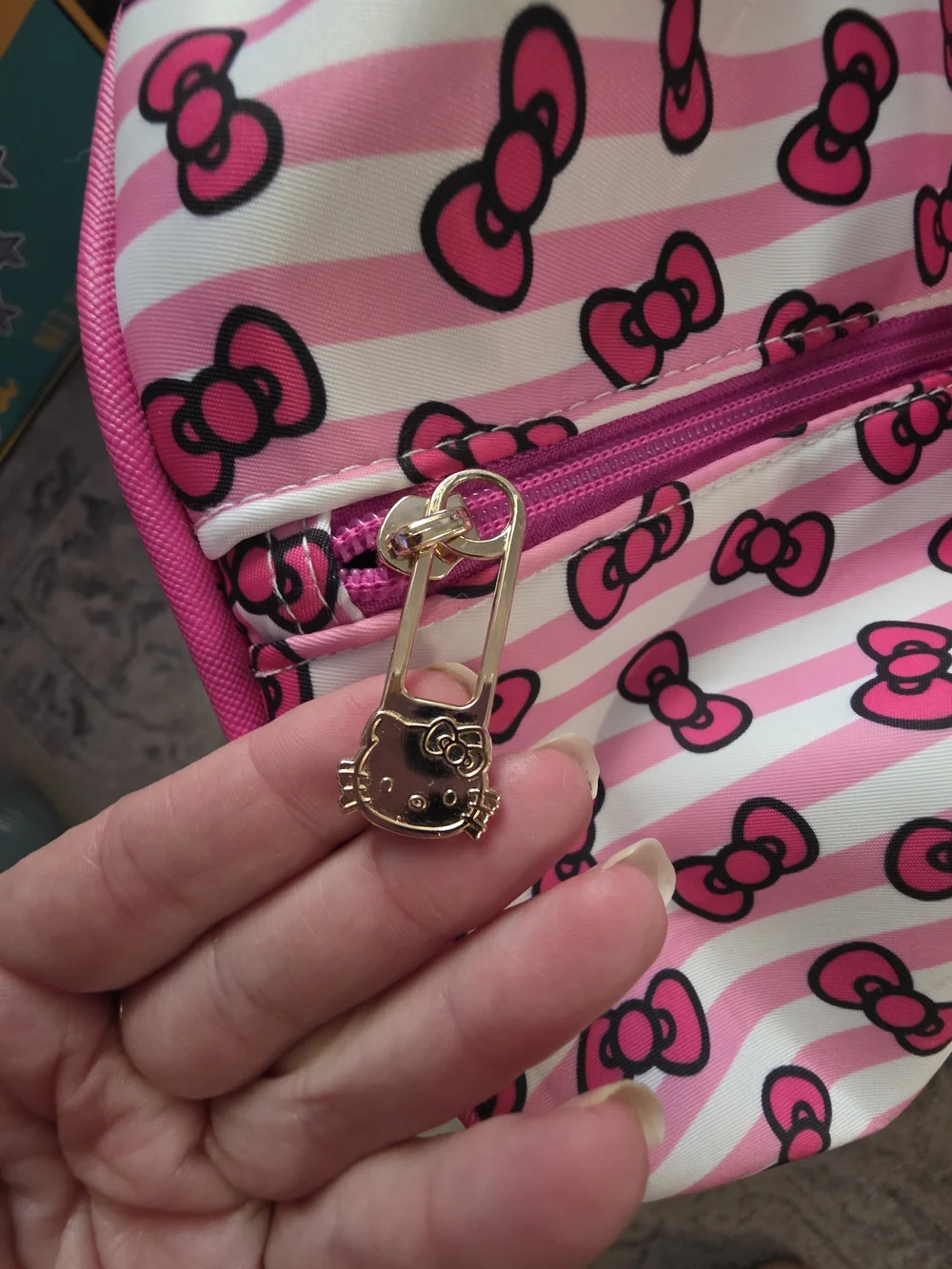 Hello Kitty Pink and White Striped Garment Bag with Bow Print